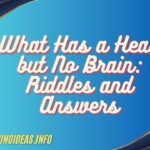 What Has a Head but No Brain: Riddles and Answers